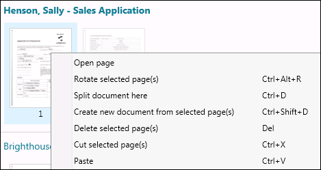 Cut and paste document pages in Pages View
