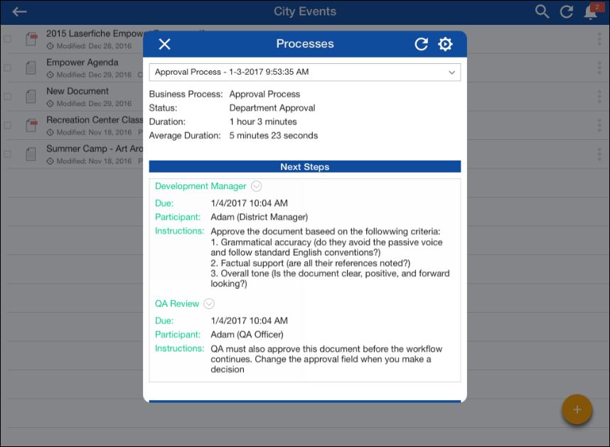 Business Process Details