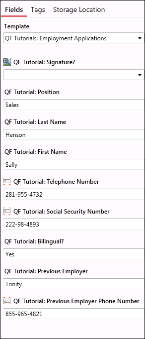 Templates and Fields in the Metadata Pane