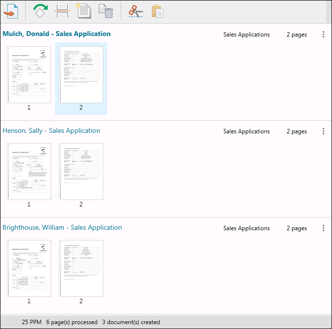 Quick Fields Scanning Pages View