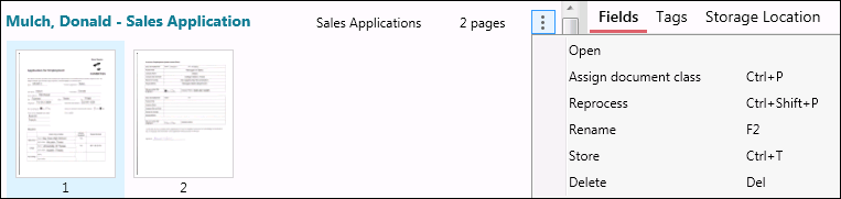 Delete a document in Pages View