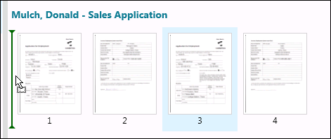 Rearrange document pages in Pages View