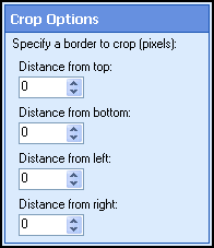 Crop Options section