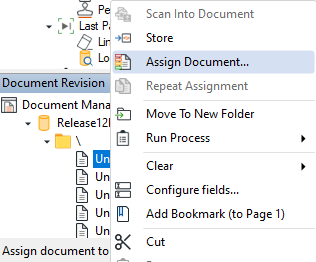 Assign Document Option