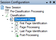 Document Class in the Session Configuration pane