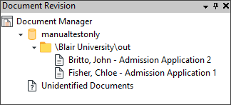 Document Revision Pane