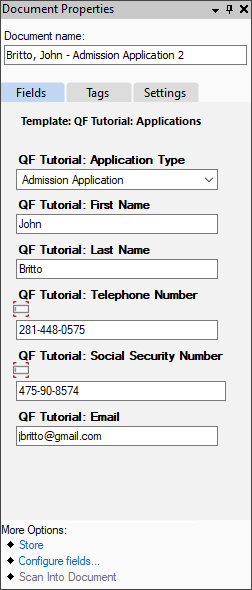 Document Revision Tasks Pane