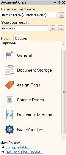 The Options tab when a Document Class is selected