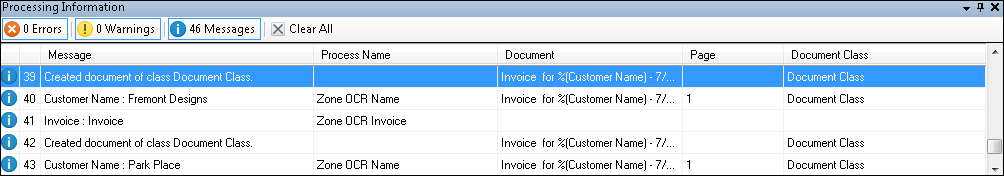 Processing Information Pane