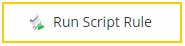 Run Script Rule activity