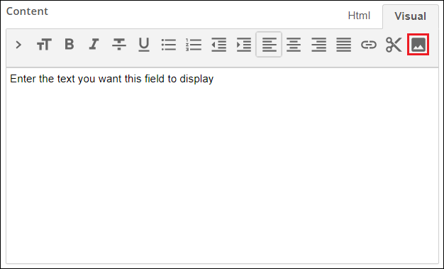 Adding pictures in the rich-text editor.