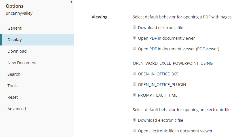 Display tab under Options